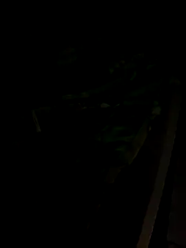 sr dias online show from 11/13/25, 08:46