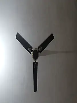 NoxiousFilename online show from 11/10/25, 05:50