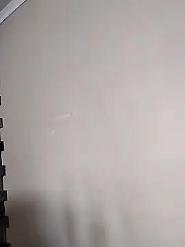 Snapshot of ManualMargay chatting on 11/04/25, 12:37 ManualMargay online show from 11/04/25, 12:37