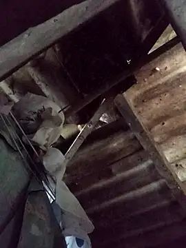  Helala  online show from 10/21/25, 11:49