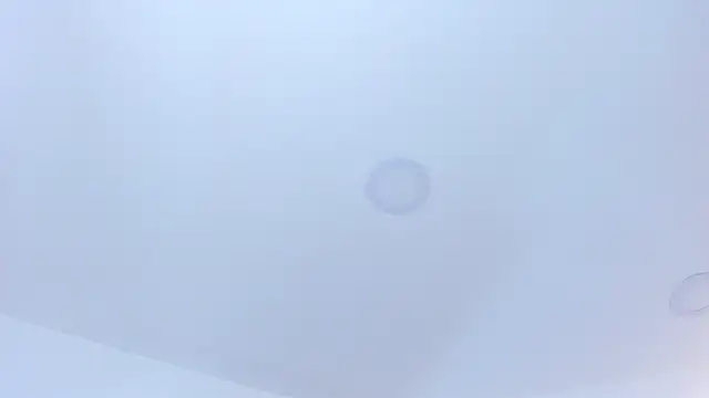 Snapshot of Madame_Angelic_ chatting on 10/03/25, 05:04 Madame Angelic online show from 10/03/25, 05:04