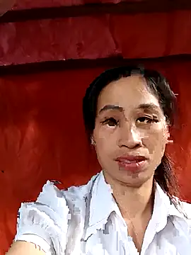 misa 00 online show from 11/15/25, 06:44