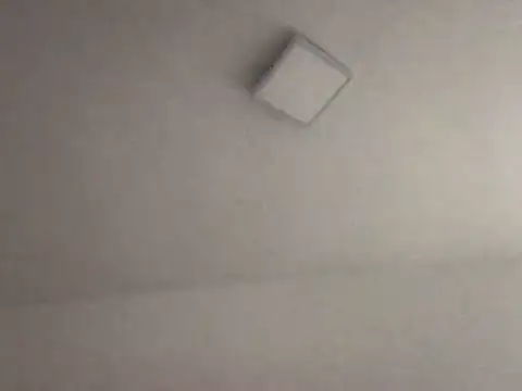 alegriadodia online show from 10/08/25, 07:55