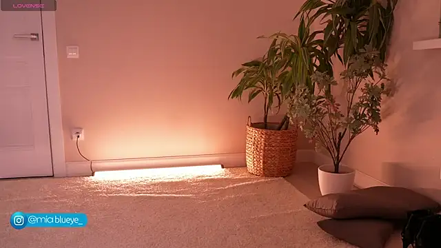 Snapshot of Miablueye chatting on 11/20/25, 03:12 Miablueye online show from 11/20/25, 03:12