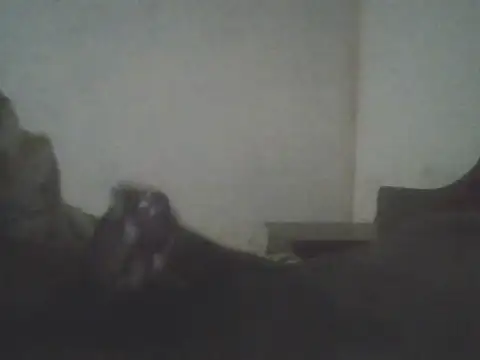 repulsivecock online show from 11/25/25, 11:16