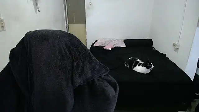 Amber09raiden online show from 10/31/25, 05:03