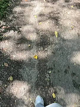 Snapshot of amo660 chatting on 09/20/25, 10:05 amo660 online show from 09/20/25, 10:05