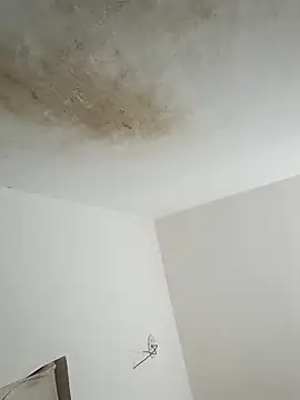 thunderrony online show from 10/06/25, 03:09