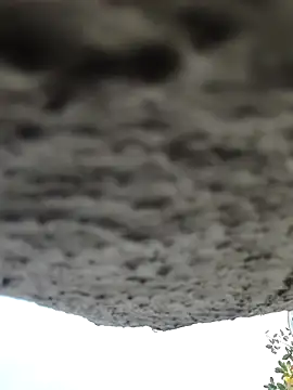 Snapshot of AnanyaKapoor89 chatting on 11/09/25, 02:43 AnanyaKapoor89 online show from 11/09/25, 02:43