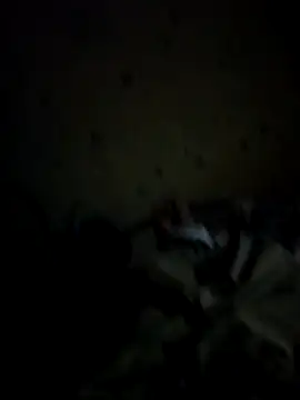 IncompatibleBean41 online show from 09/20/25, 12:17