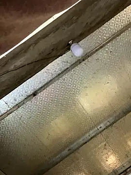 han-cute online show from 11/24/25, 06:24