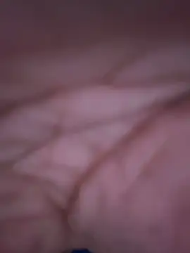 Snapshot of stevo170t chatting on 10/14/25, 11:44 stevo170t online show from 10/14/25, 11:44