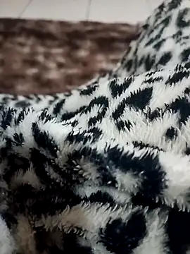 Snapshot of Gauderio40 chatting on 11/21/25, 04:11 Gauderio40 online show from 11/21/25, 04:11