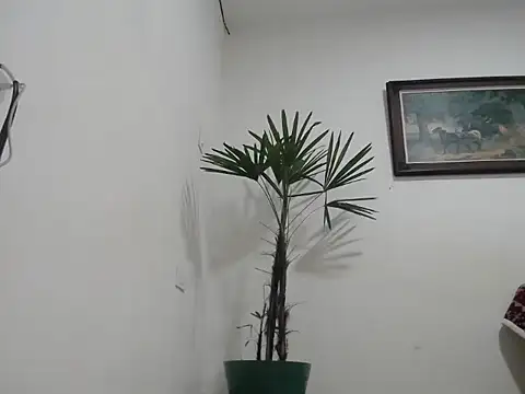 Young handsome online show from 09/11/25, 01:28