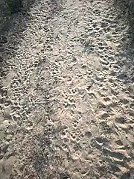 SmartLoda143 online show from 11/19/25, 11:10