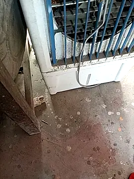 AglowShape online show from 11/24/25, 02:44