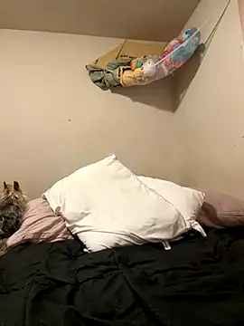 VanessaRose5362 online show from 10/14/25, 02:29