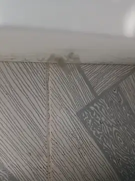 manusexyks online show from 10/17/25, 07:55