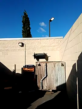 Dropdingo online show from 10/19/25, 02:07