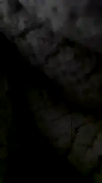 LanaAce719 online show from 10/13/25, 07:41