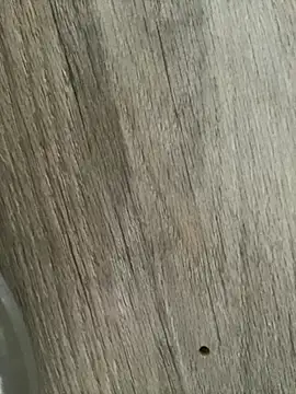 LunaSthena online show from 10/26/25, 06:25