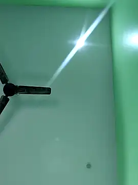 WildPayal online show from 11/14/25, 07:51