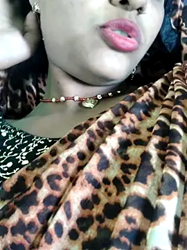 WildPayal online show from 11/15/25, 08:11