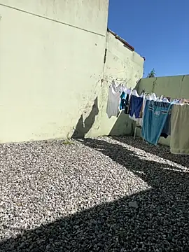 Snapshot of cat9269 chatting on 11/11/25, 05:57 cat9269 online show from 11/11/25, 05:57