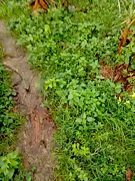 bigdaddyboy46 online show from 09/12/25, 02:00