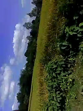 bigdaddyboy46 online show from 11/05/25, 07:30