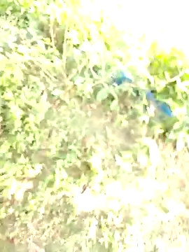 bigdaddyboy46 online show from 11/11/25, 06:13