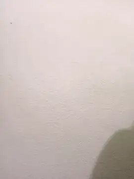 Telugu hot cpl online show from 11/29/25, 05:38