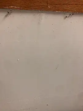 99-JOJO online show from 11/20/25, 10:26