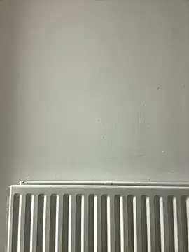 dlasian2026 online show from 10/31/25, 11:06