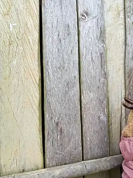 bonnie-00 online show from 10/31/25, 01:50