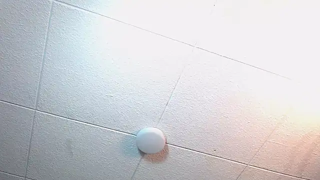 RichardMilleer online show from 11/12/25, 02:17