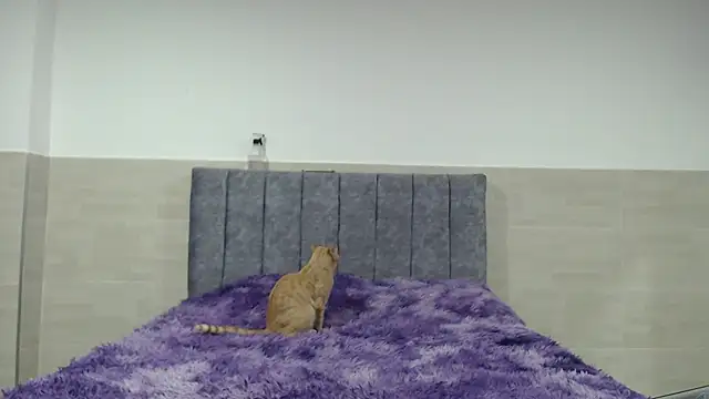  ruby red online show from 11/20/25, 02:45