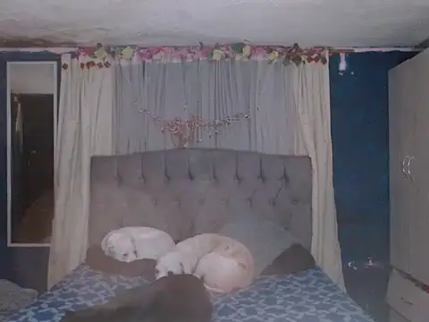 Snapshot of skarleth_hot21 chatting on 10/25/25, 04:31 skarleth hot21 online show from 10/25/25, 04:31