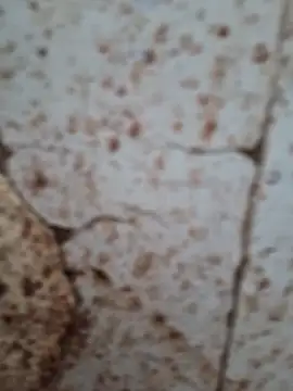 goodzx2 online show from 09/16/25, 12:50