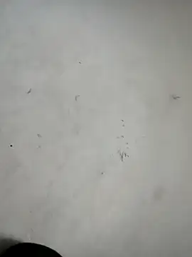 Snapshot of ndon63421 chatting on 10/03/25, 02:58 ndon63421 online show from 10/03/25, 02:58