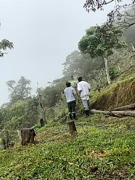 sky-wolves online show from 10/11/25, 03:43