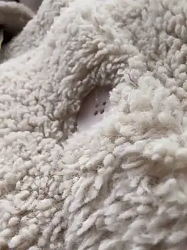 Snapshot of RonnieKiss chatting on 10/24/25, 03:25 RonnieKiss online show from 10/24/25, 03:25