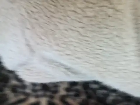 Snapshot of Harukiowo chatting on 09/24/25, 11:57 Harukiowo online show from 09/24/25, 11:57