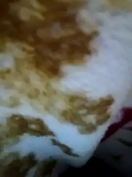 alone boy802 online show from 11/09/25, 04:49