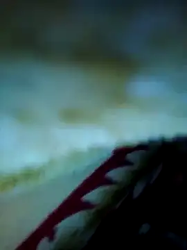 alone boy802 online show from 11/13/25, 03:38