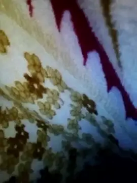 alone boy802 online show from 11/17/25, 02:23