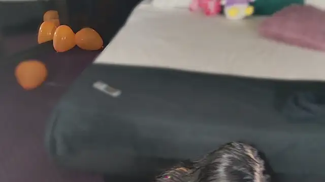 MeganSin  online show from 11/06/25, 05:30