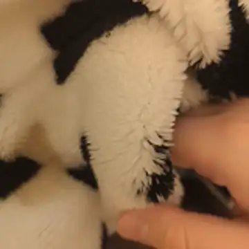 Geilerboy262 online show from 11/15/25, 10:15