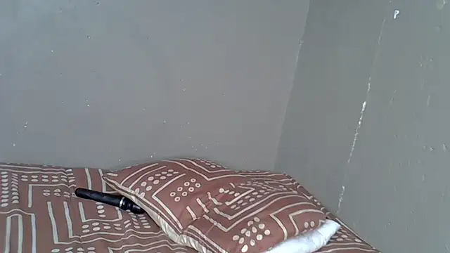 Bellabootie online show from 11/13/25, 08:08