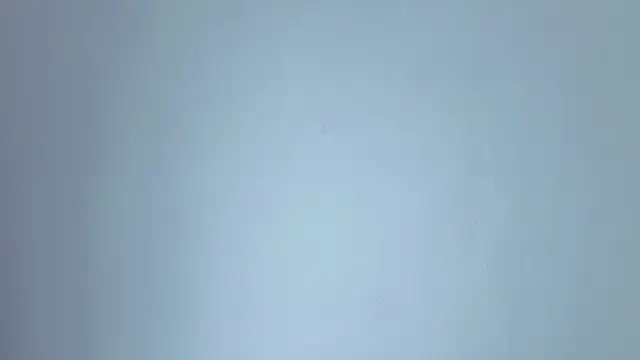 lissastone online show from 11/15/25, 05:16